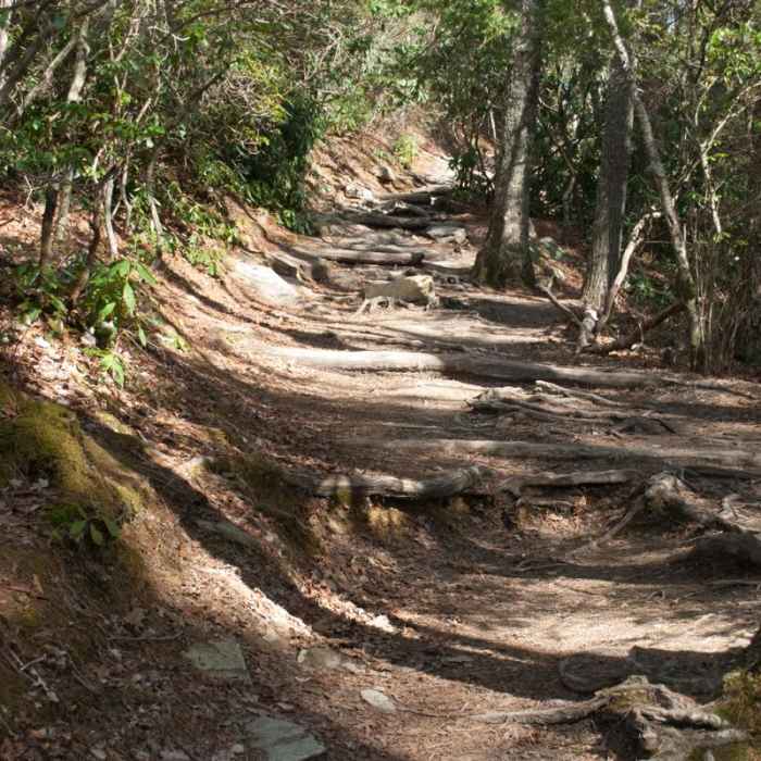 Near Linville Falls Hike Near Linville Falls Hike