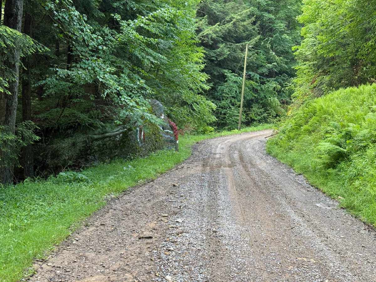 Ross Run Road - FS 85116A photo 4