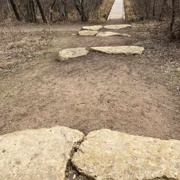 Near Wetlands Loop Trail Near Wetlands Loop Trail