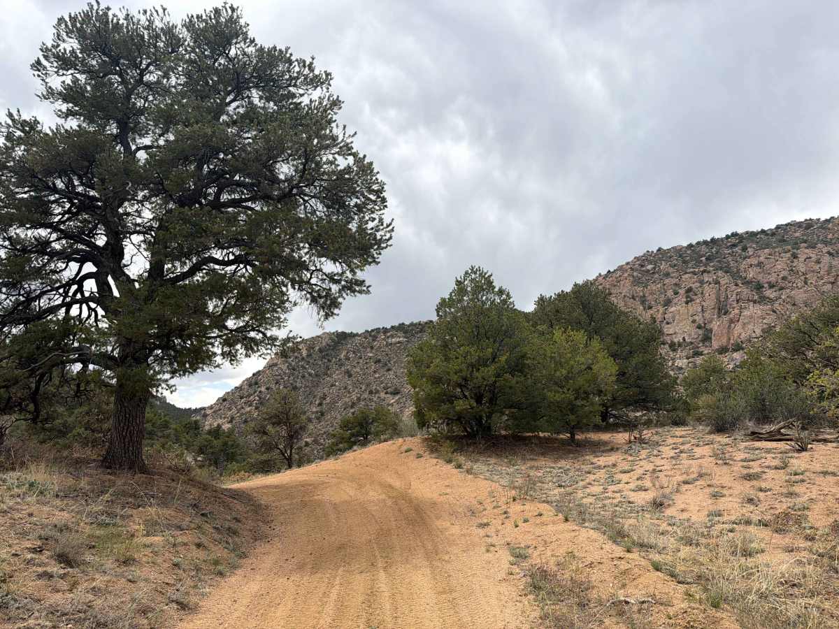 BLM 6020A trail photo