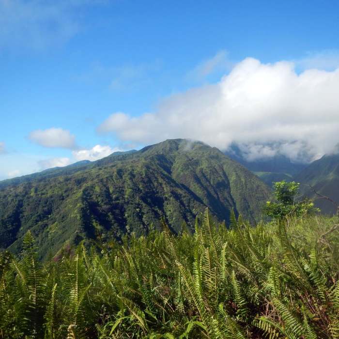 Near Waihe'e Ridge Near Waihe'e Ridge