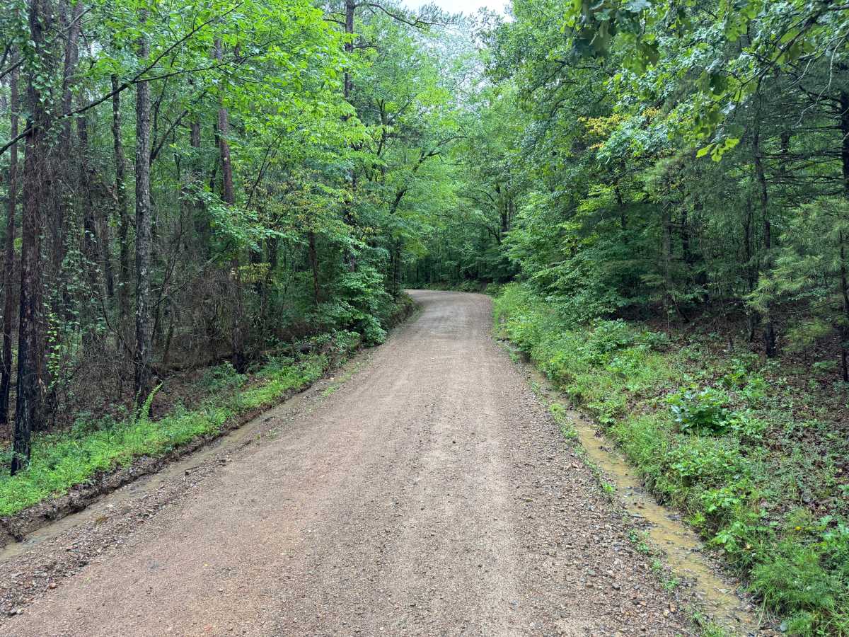 Ryan Road photo 3