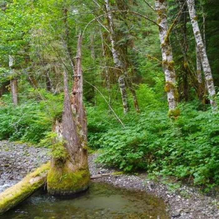Near Lost Creek Nature Trail #776