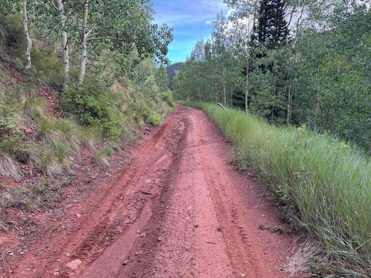 Roaring Fork Road photo 2