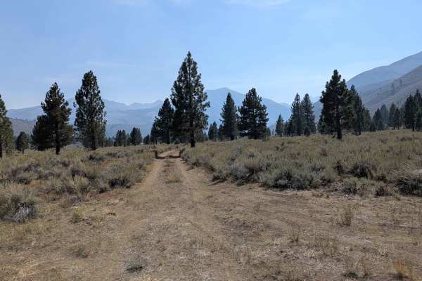 LaBrosse Creek Road - FS 32176