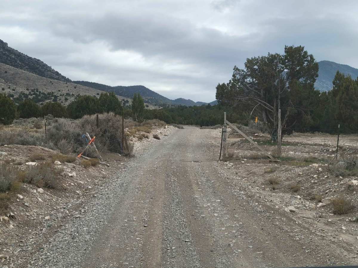 Homansville Pass Road trail photo