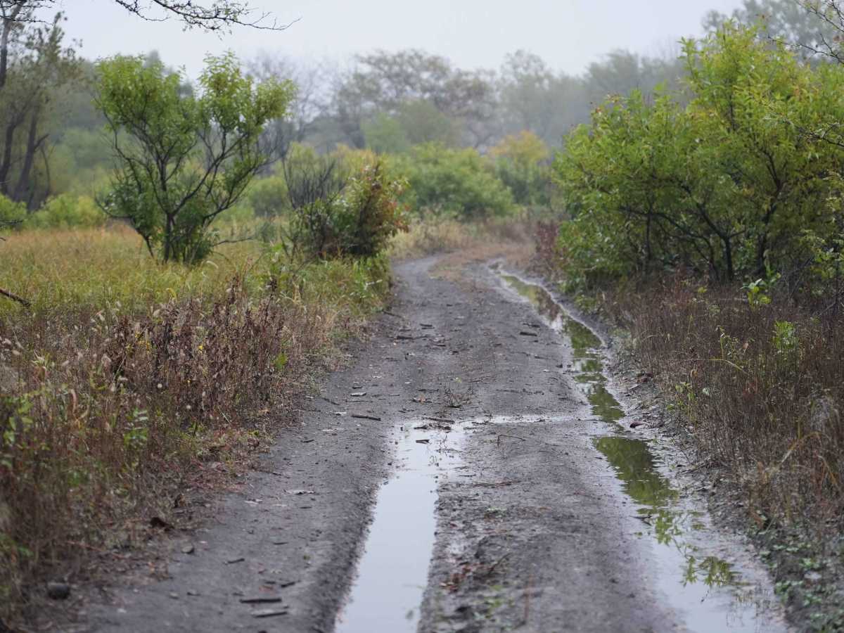 Otter Creek Main Trail photo 2