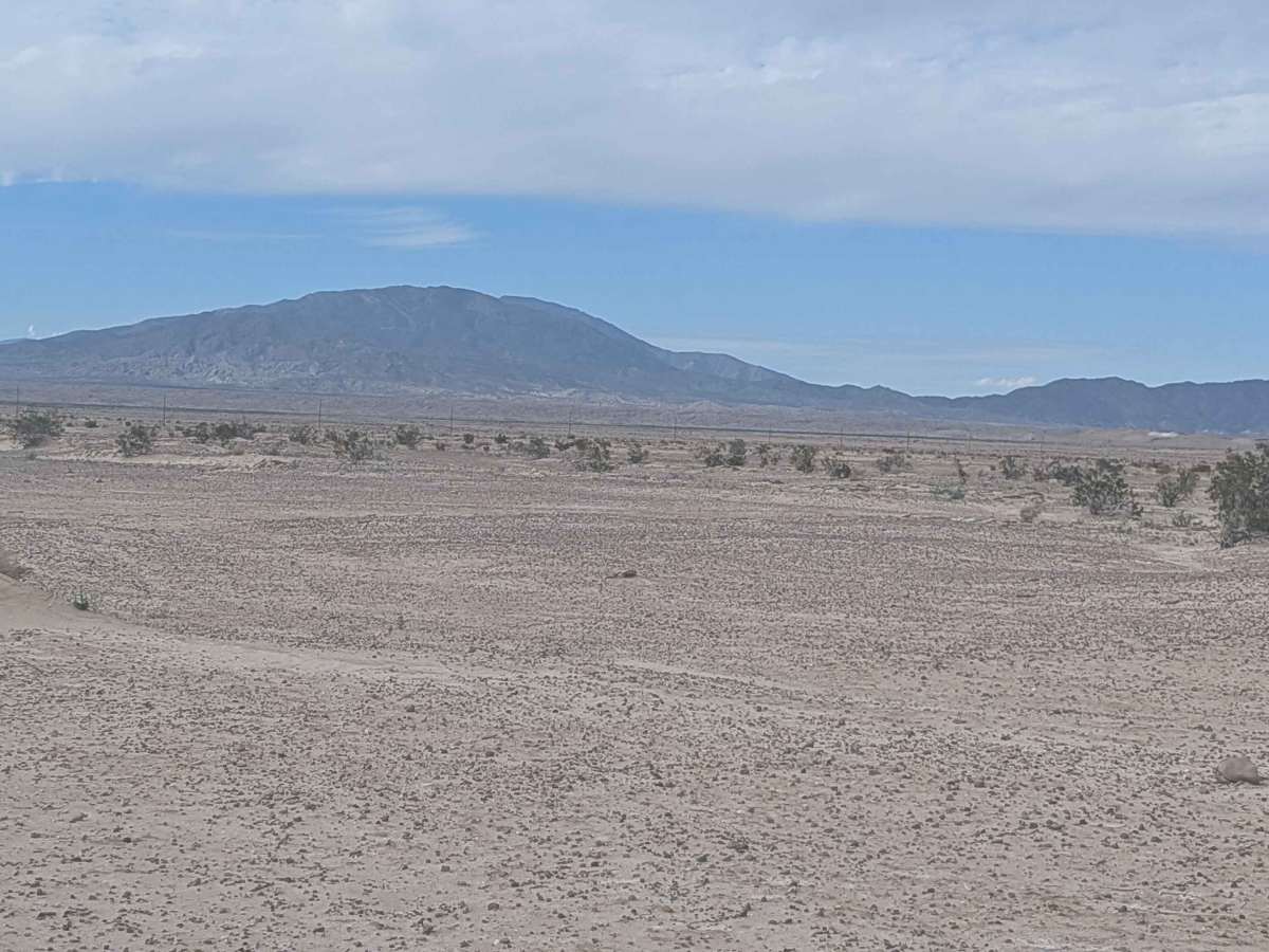 BLM 176 photo 3