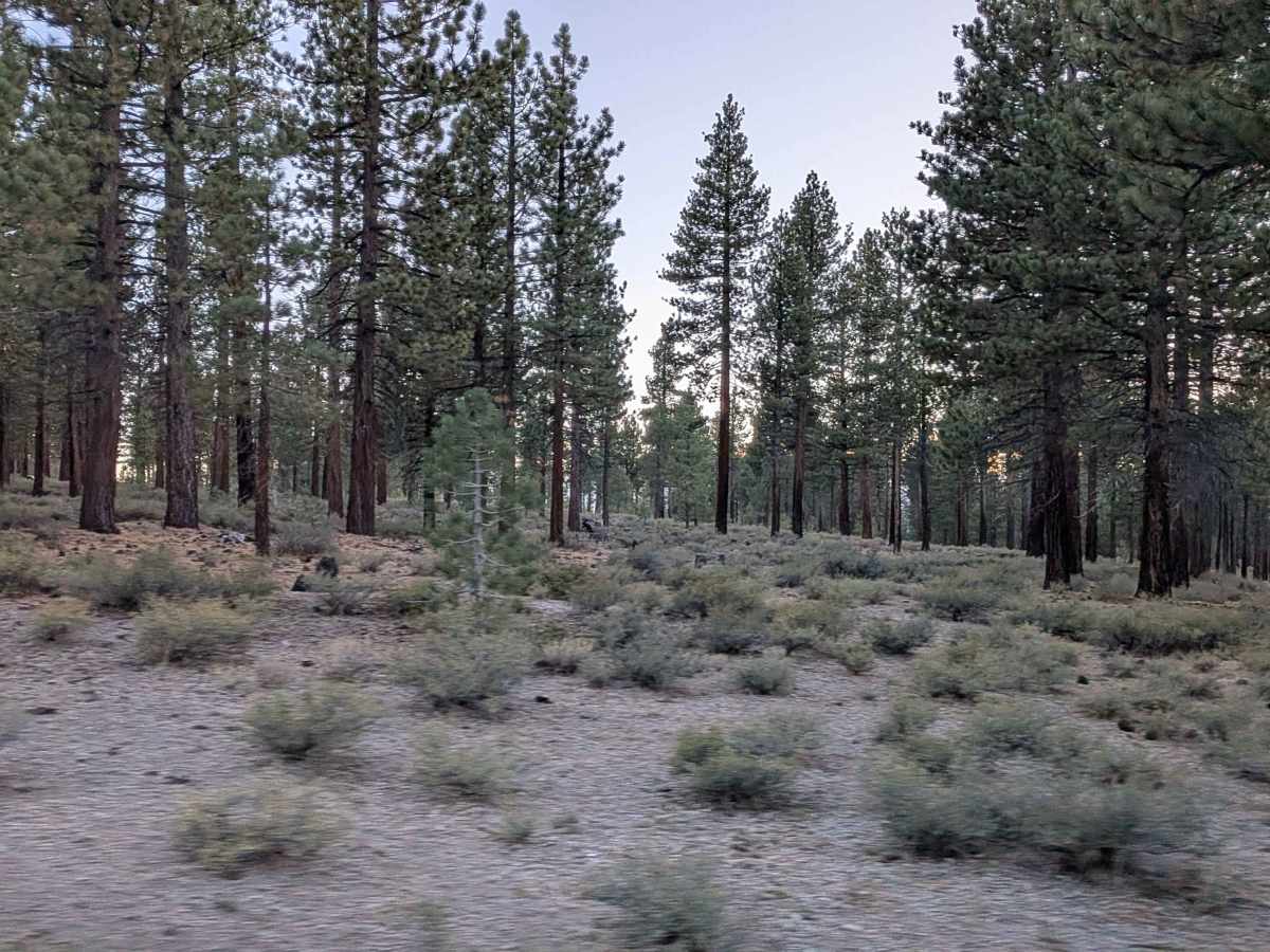 Sandy Flats Loop - FS 1S87 photo 5