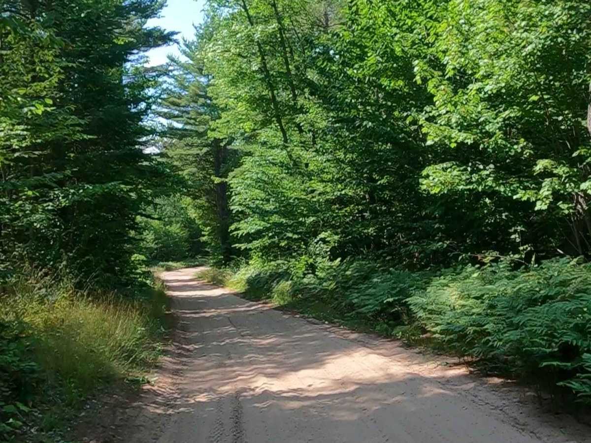 Camp Truck Trail/ Tower Road photo 2