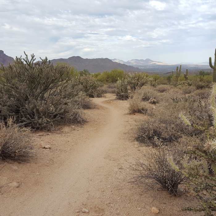 Beautiful views. Sharp cactus. Near Maricopa Trail - Pass Mountain Connector