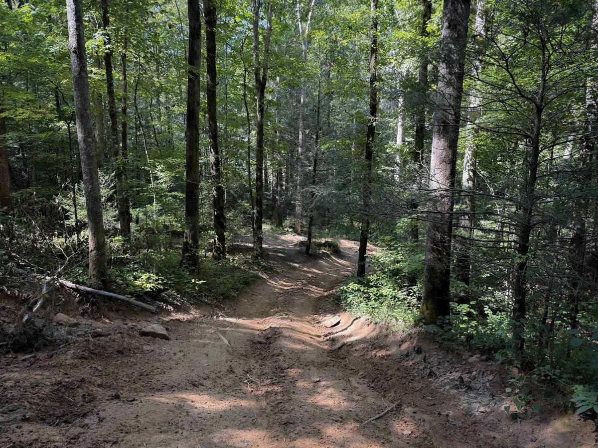 Pond Ridge  photo 4