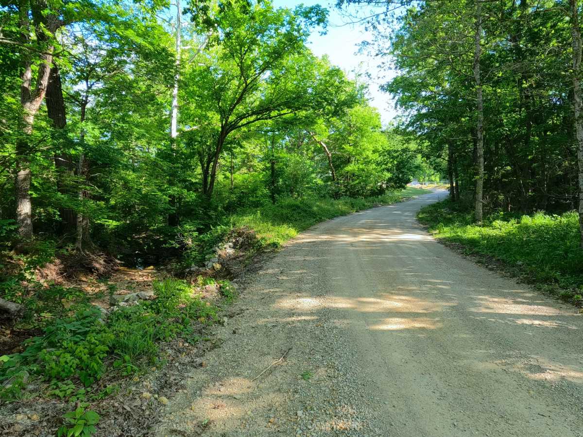 Section 22 - BCR 431 FS 3664 photo 5
