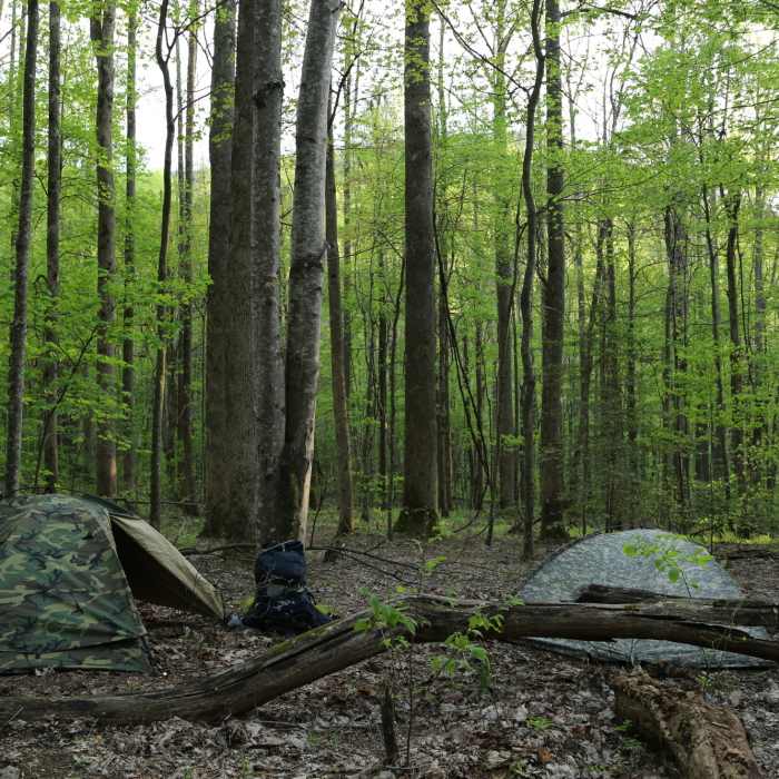 Near Huskey Gap Trail