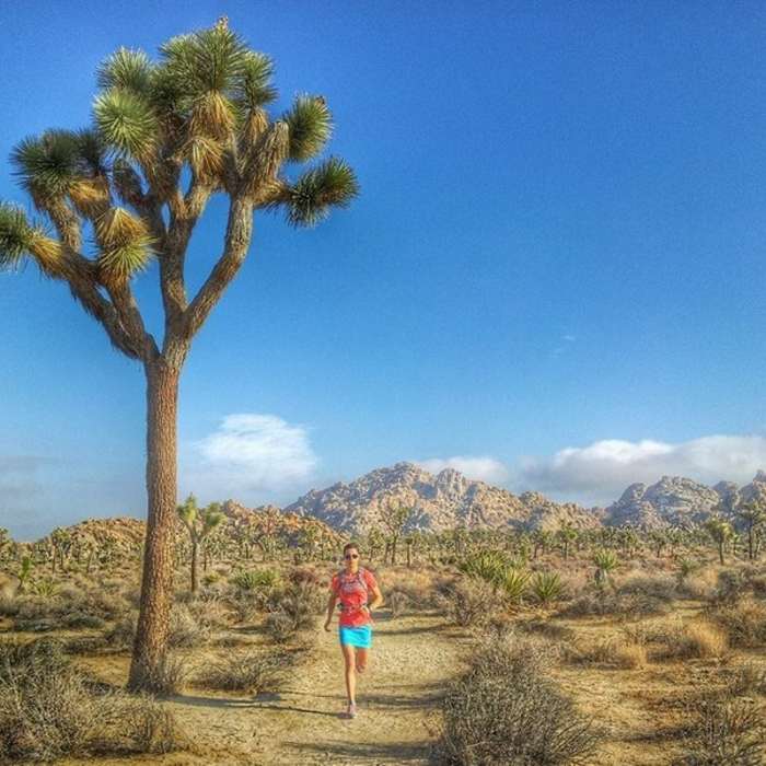 Near Boy Scout Trail