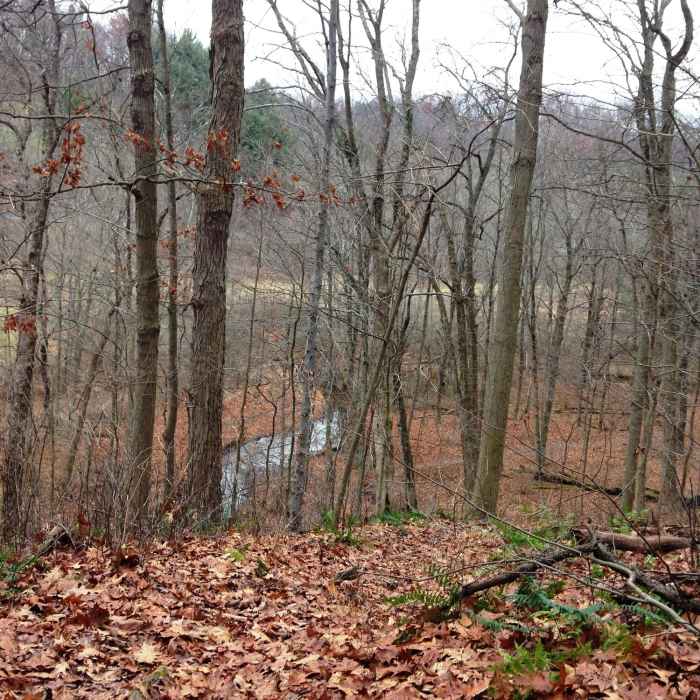 Near Trout Run