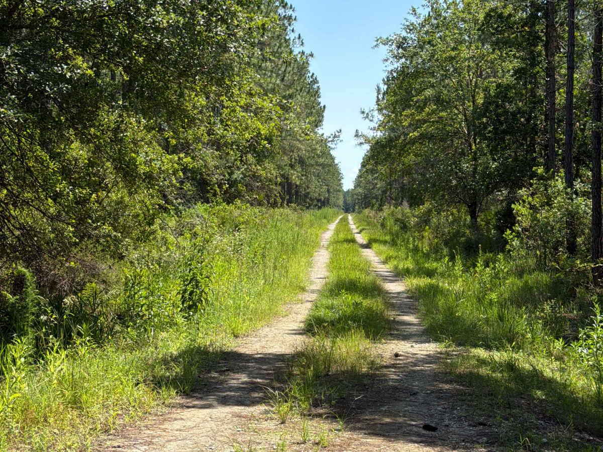 Jim‘s Road photo 5