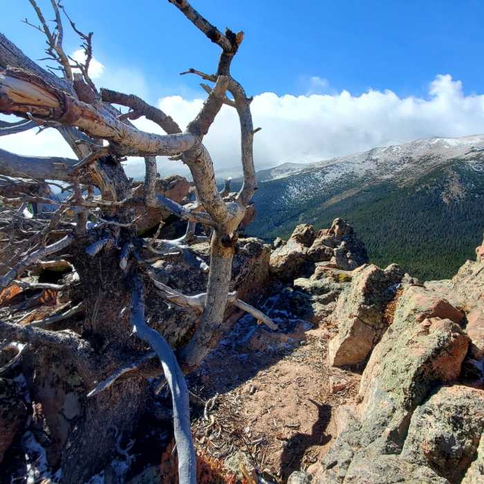 Near Estes Cone Trail