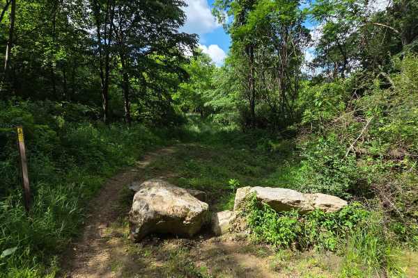 Single Track I