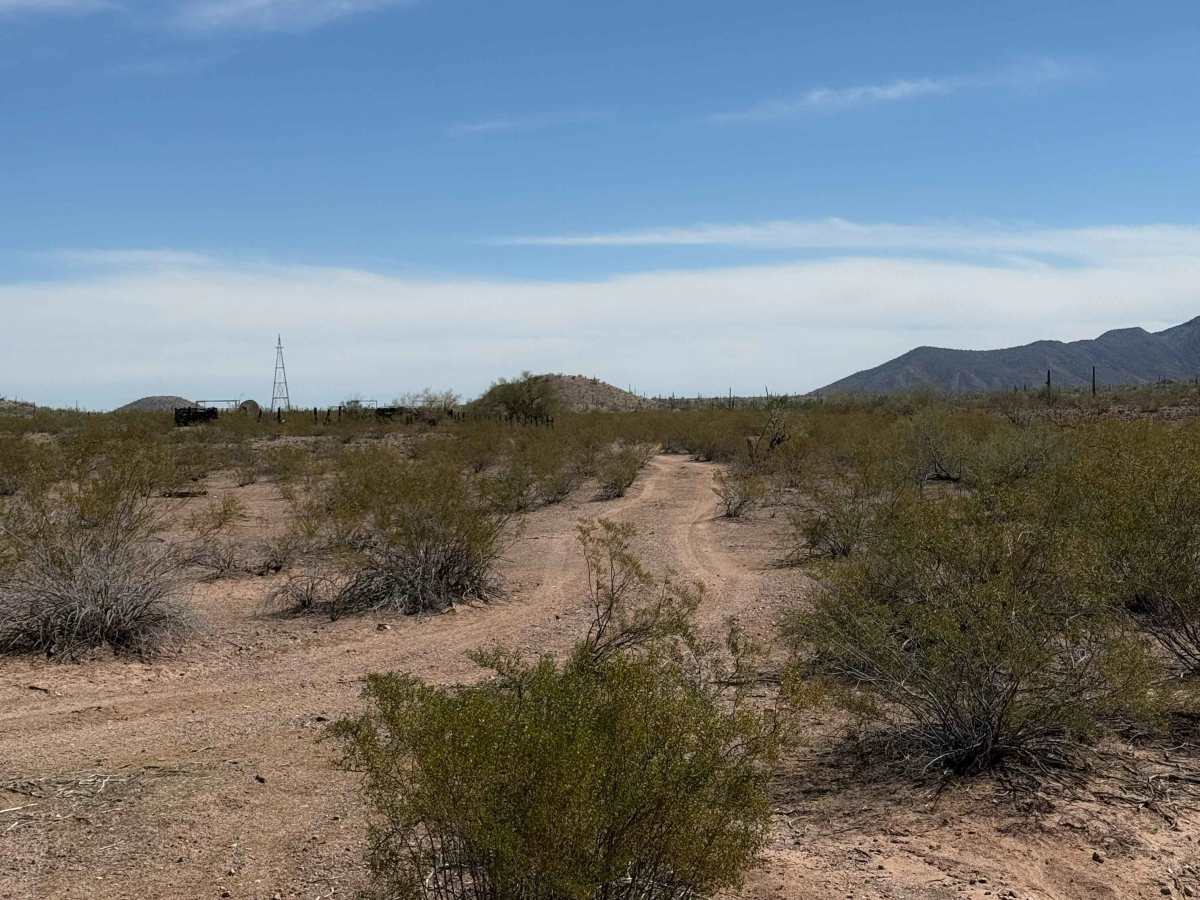 8042B trail photo