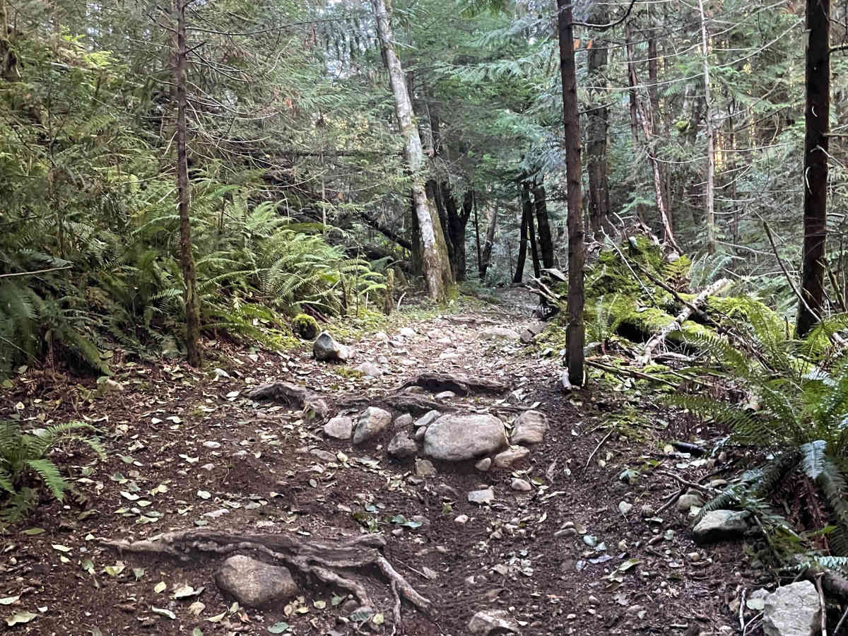 Pipe Guard trail photo