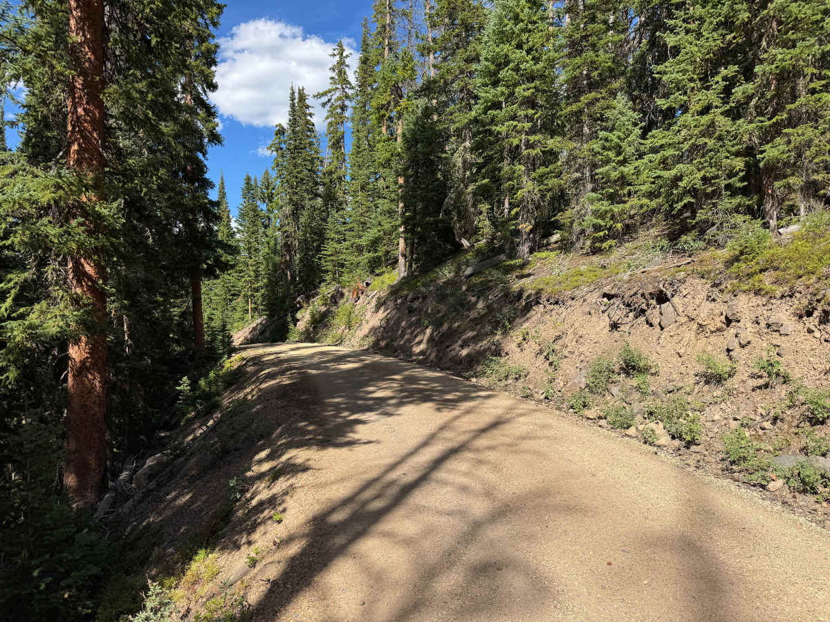 FS 103 photo 3