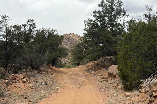 BLM 6020