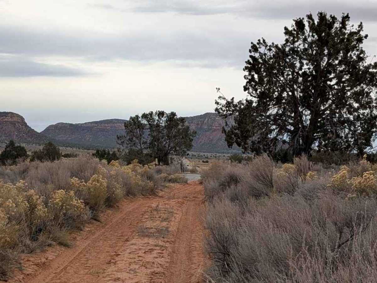 Rose Canyon - BLM M4156 photo 3