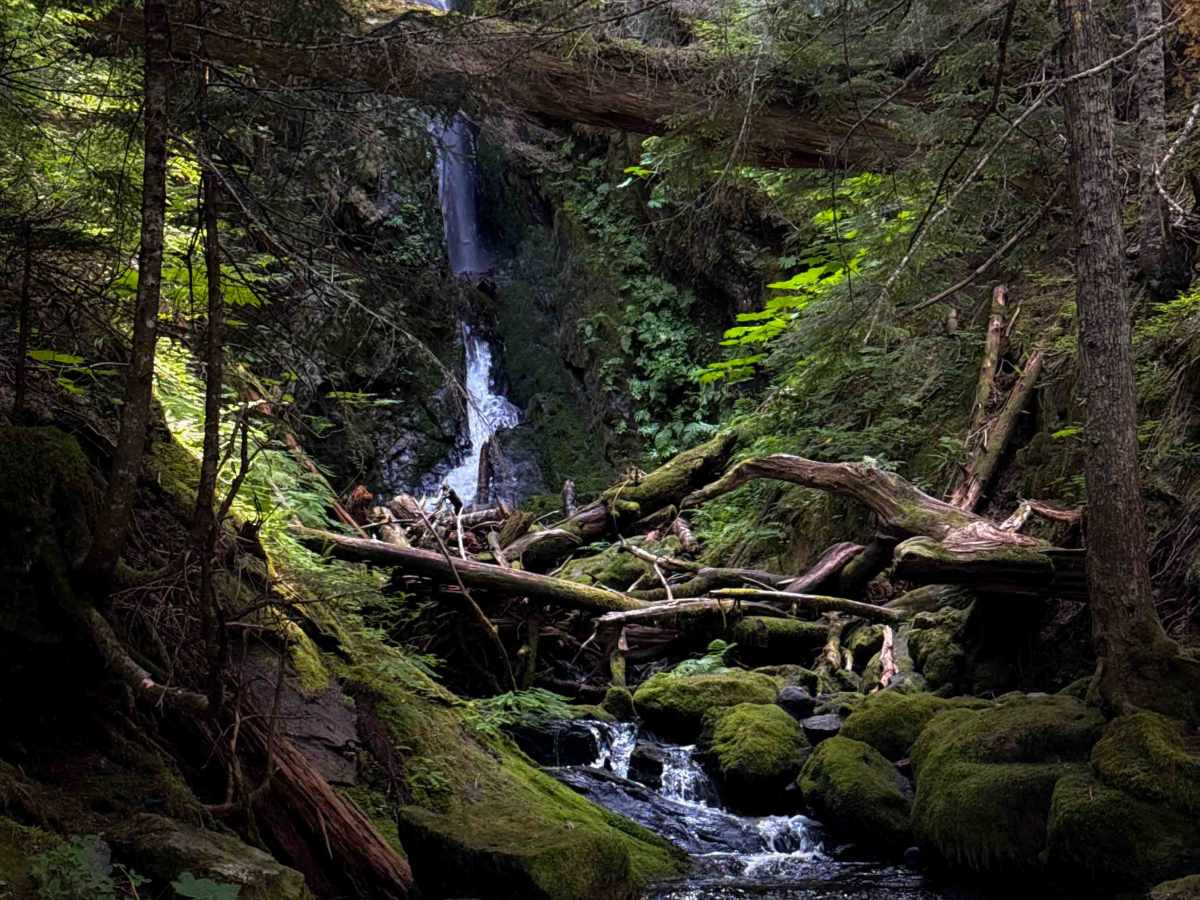 Big Creek Trail 252 photo 6