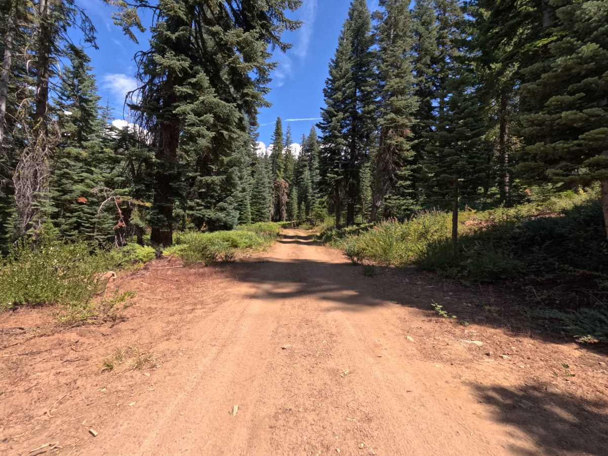 Big Creek Fire Road - South - FS 5S048 photo 3