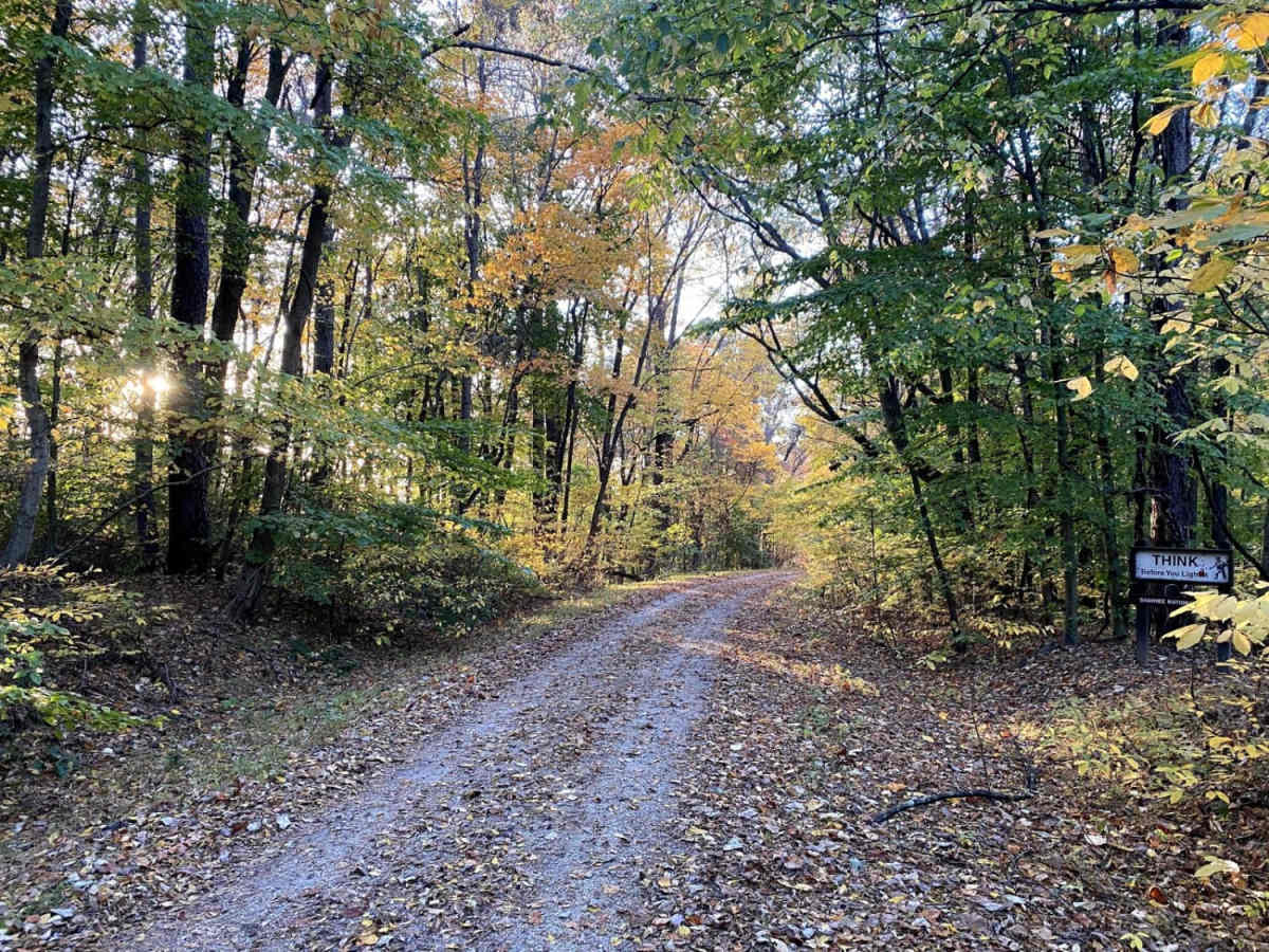 Gale Trail Road FSR 272 trail photo