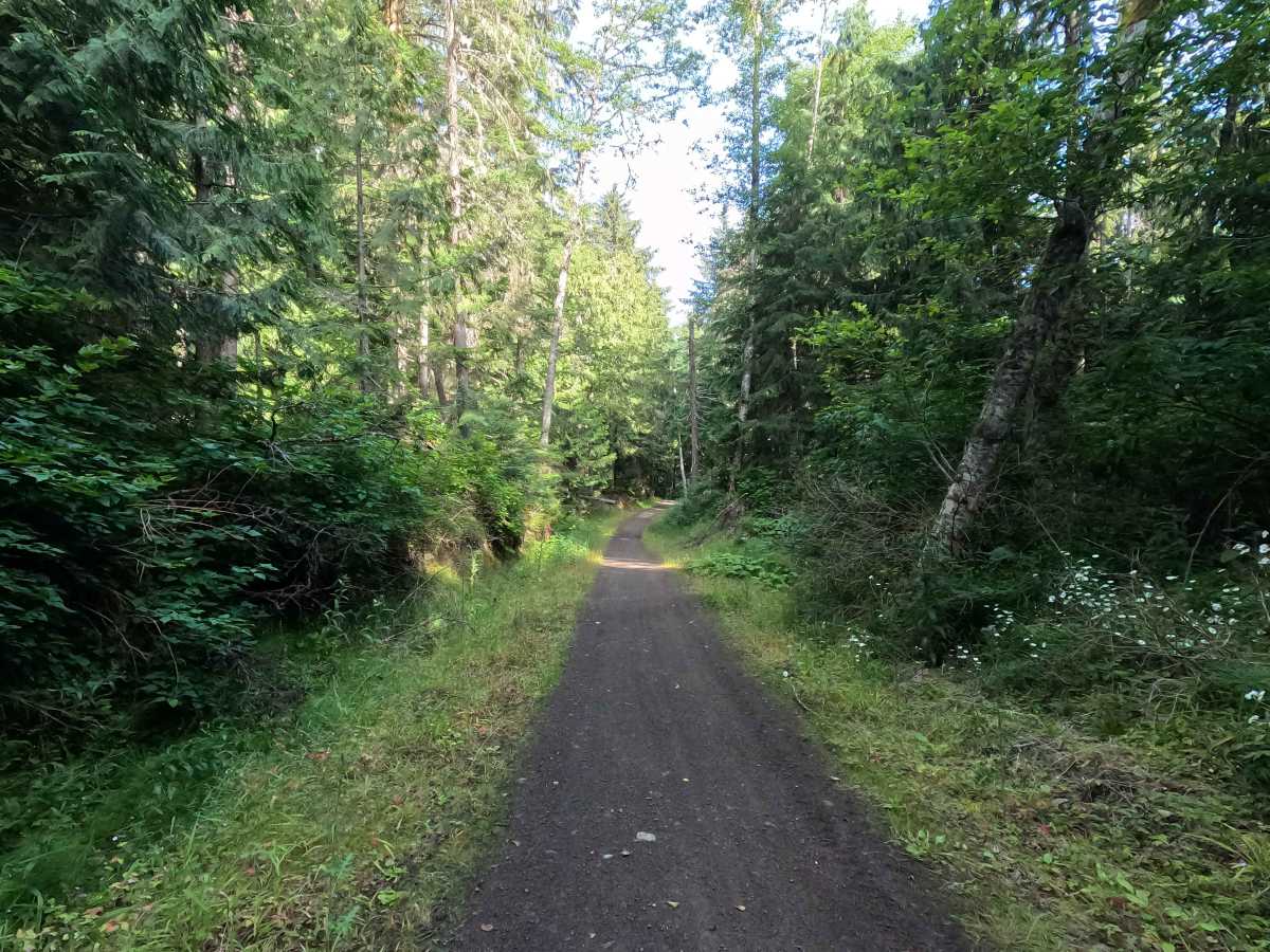 Walking Horse Trail photo 2