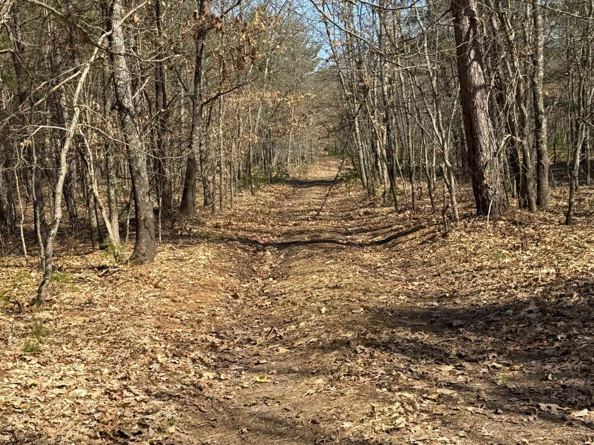 FS 8326 trail photo