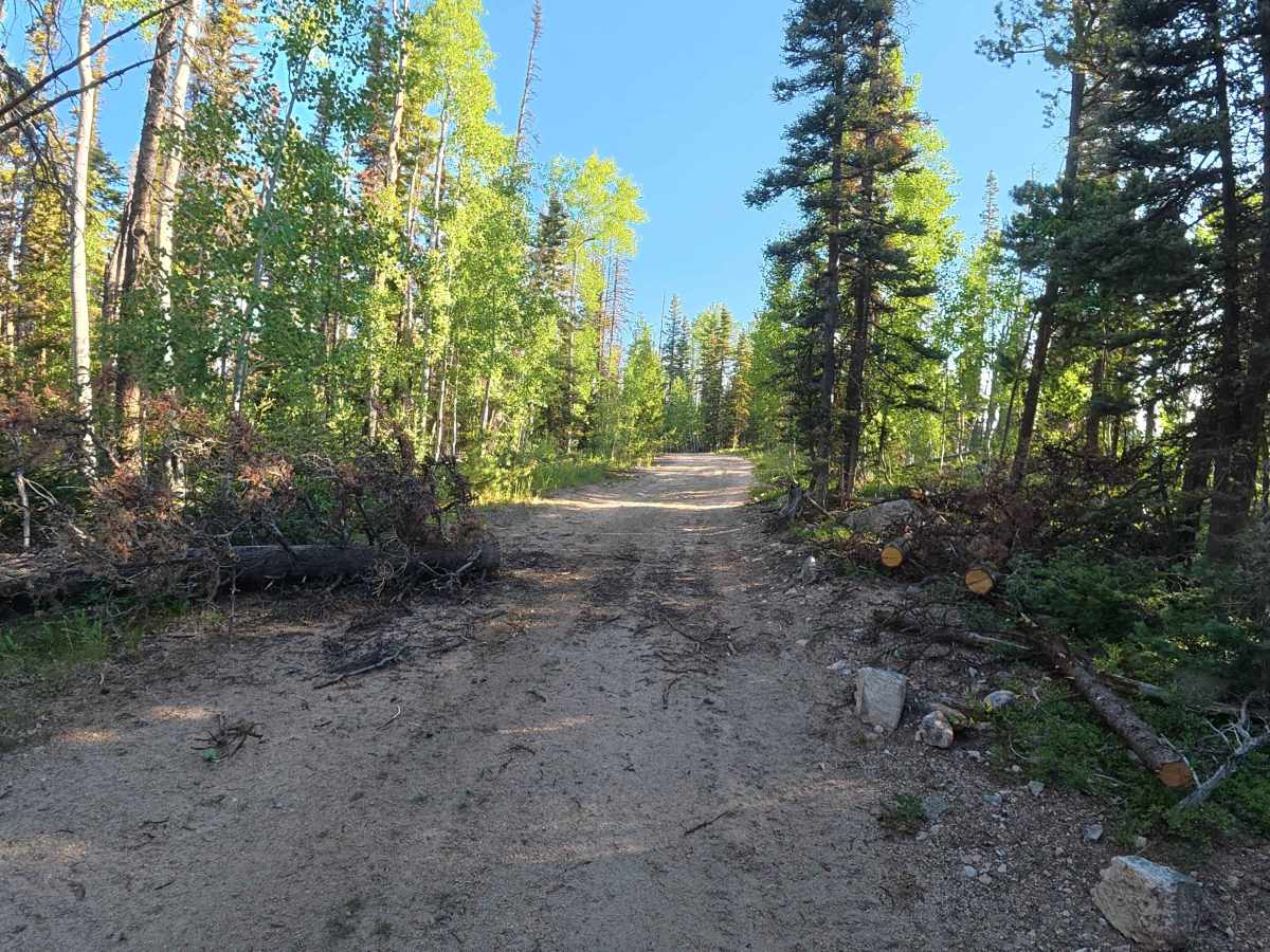 Green Ridge Road trail photo