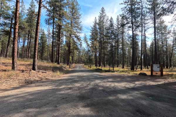 Blacktail Mountain Road