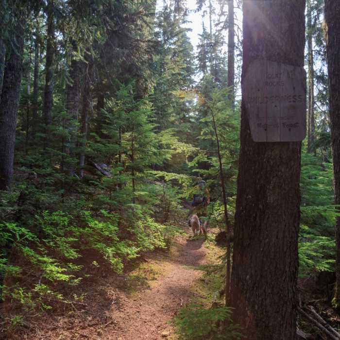 Near Goat Rocks Thru-hike