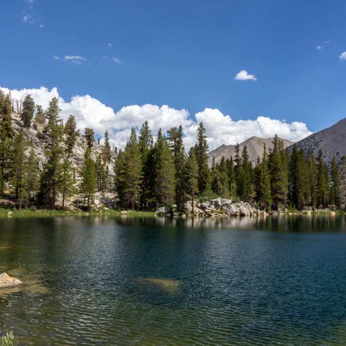Near Baxter Pass Trail