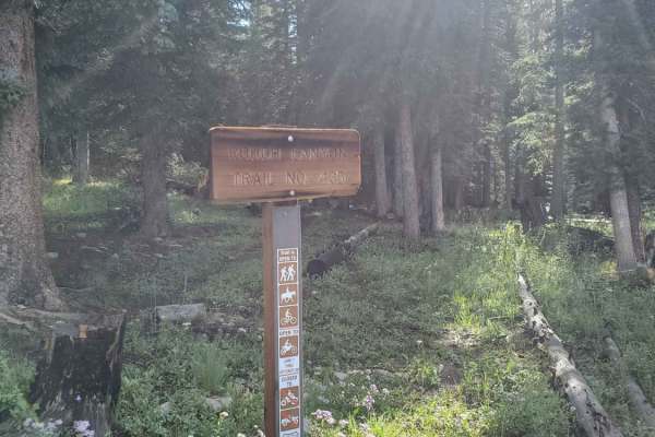 Rough Canyon