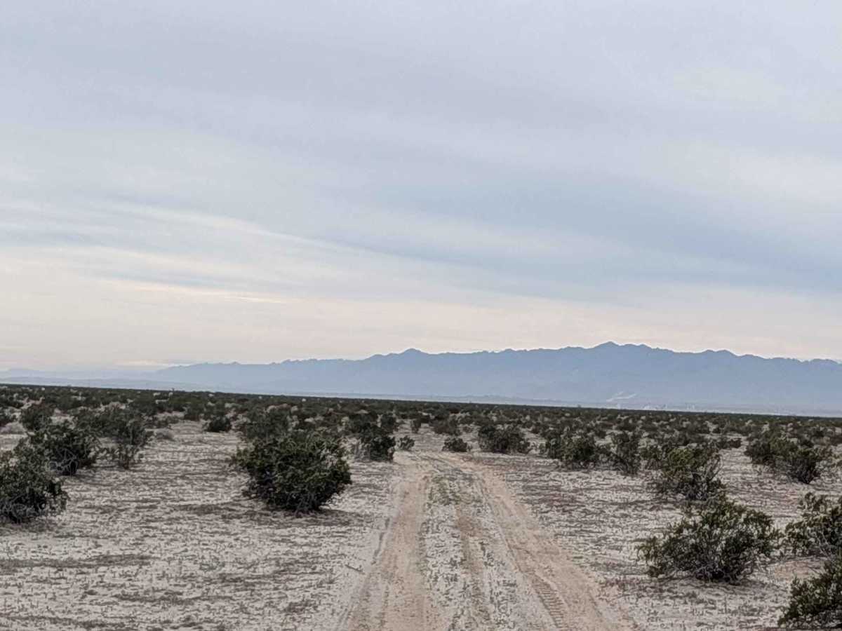 BLM 345 photo 4