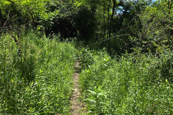 Single Track LL