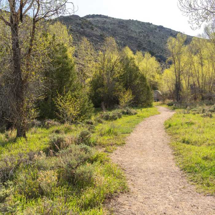 Near Encampment River Trail