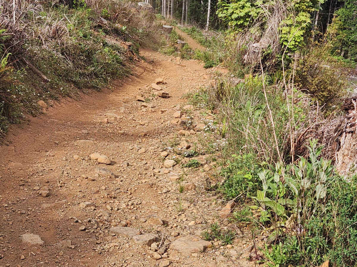 North Rim Trail #1 photo 3