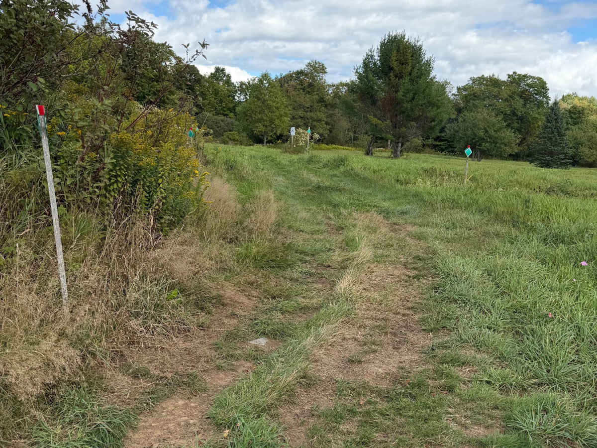 Morgan Loop Trail photo 3