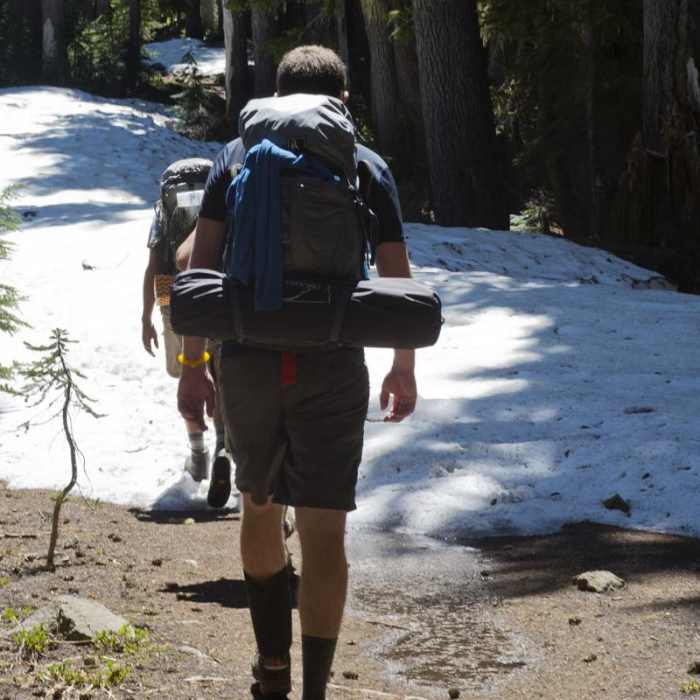 Near Obsidian Trail Hike Near Obsidian Trail Hike
