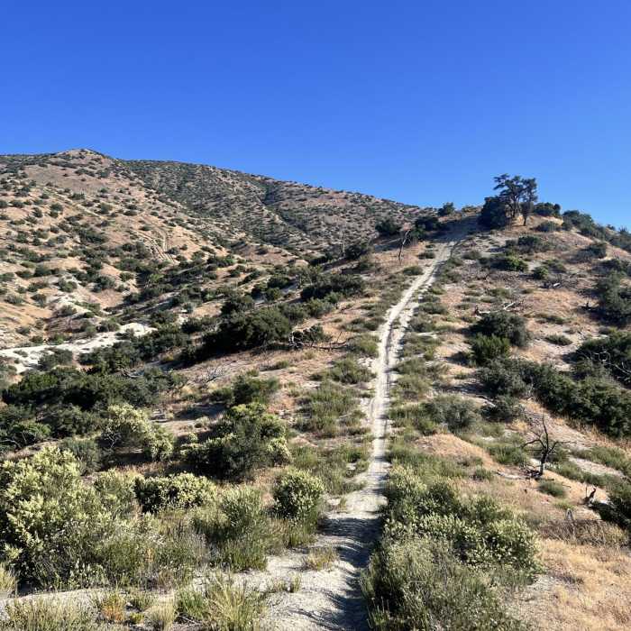 Near Mount Emma Peak