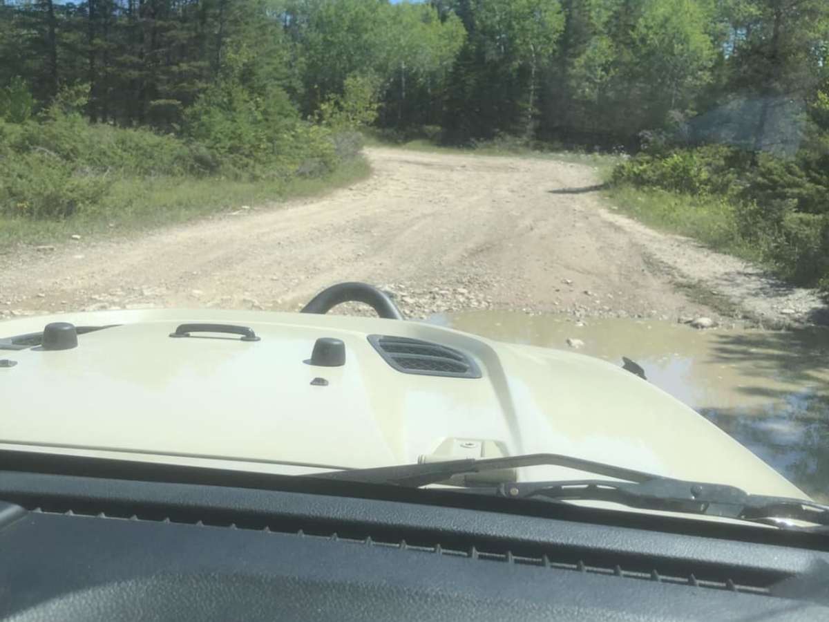 Fossil Ledge trail photo