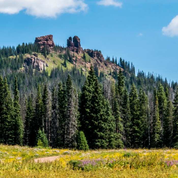 Near Rabbit Ears Peak