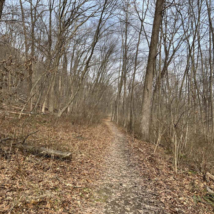 Near Louisa Pond Loop via White-Red-Blue Trails
