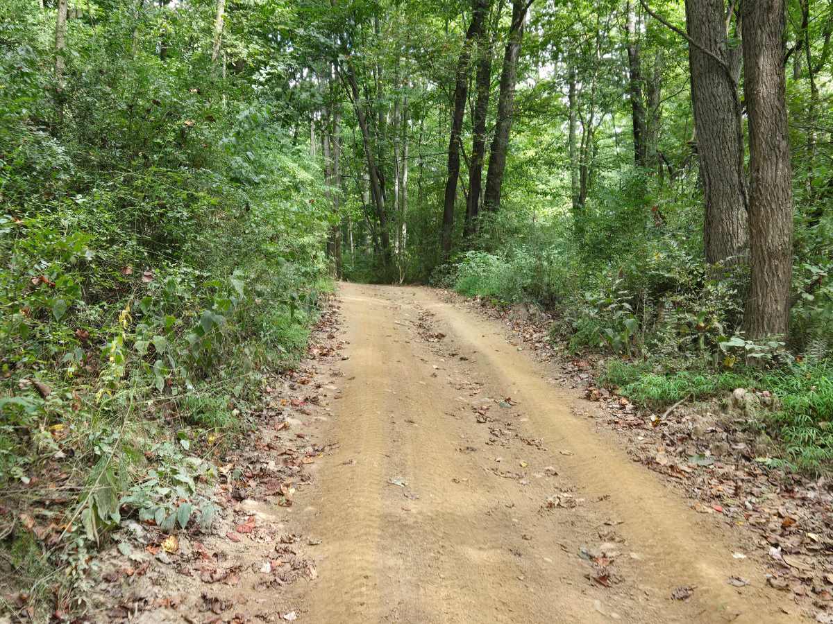 Trail 33 photo 2
