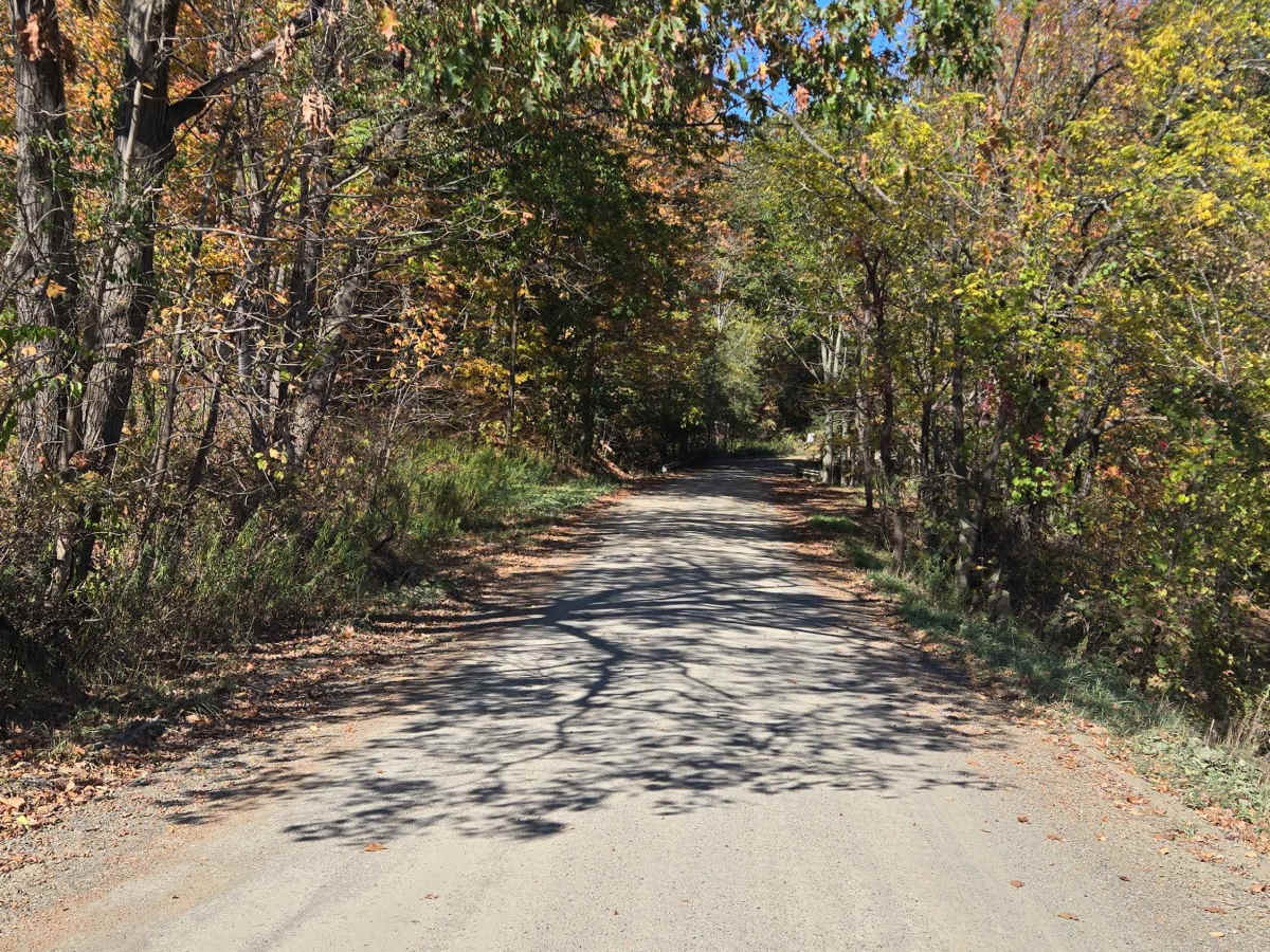 Middle Road photo 4